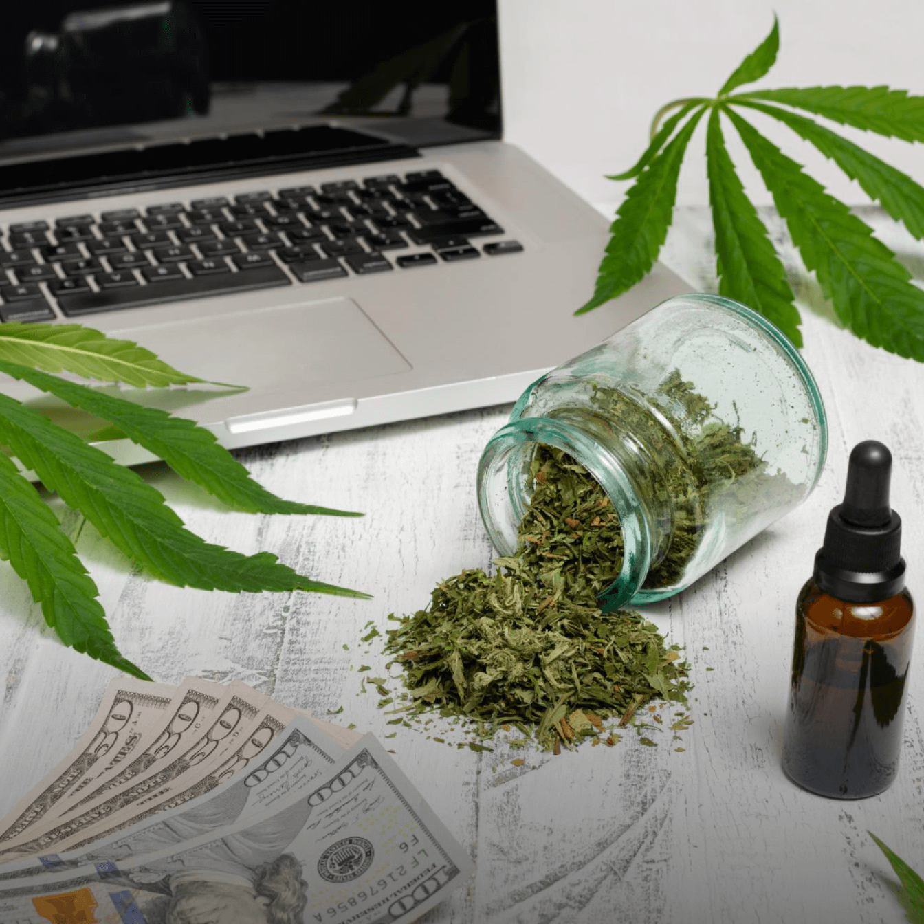 Michigan_Cannabis Loan