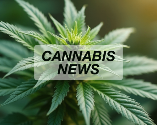 Cannabis News_Kentucky