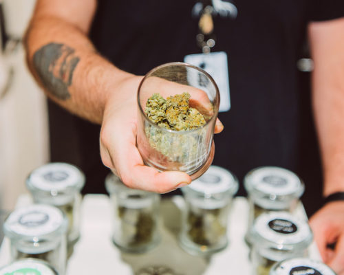 Cannabis Dispensary