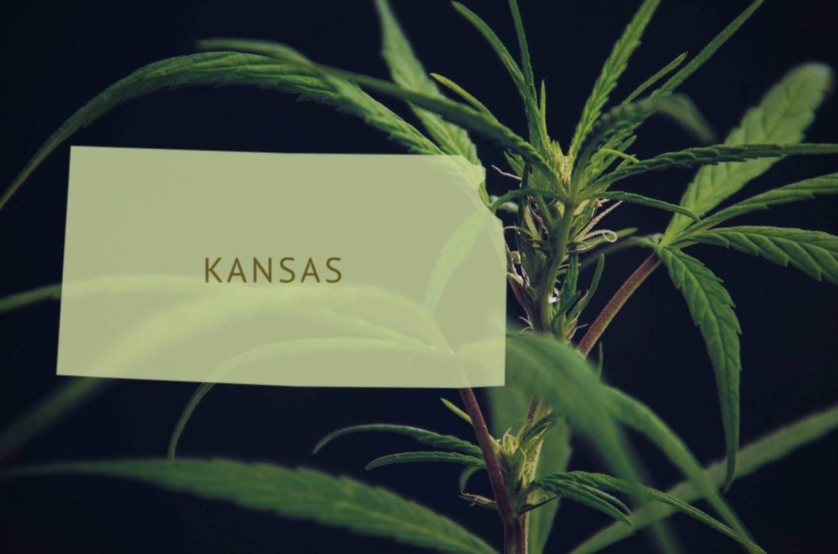 kansas medical marijuana